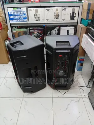 Ailipu Active Pair Speakers(15inch)