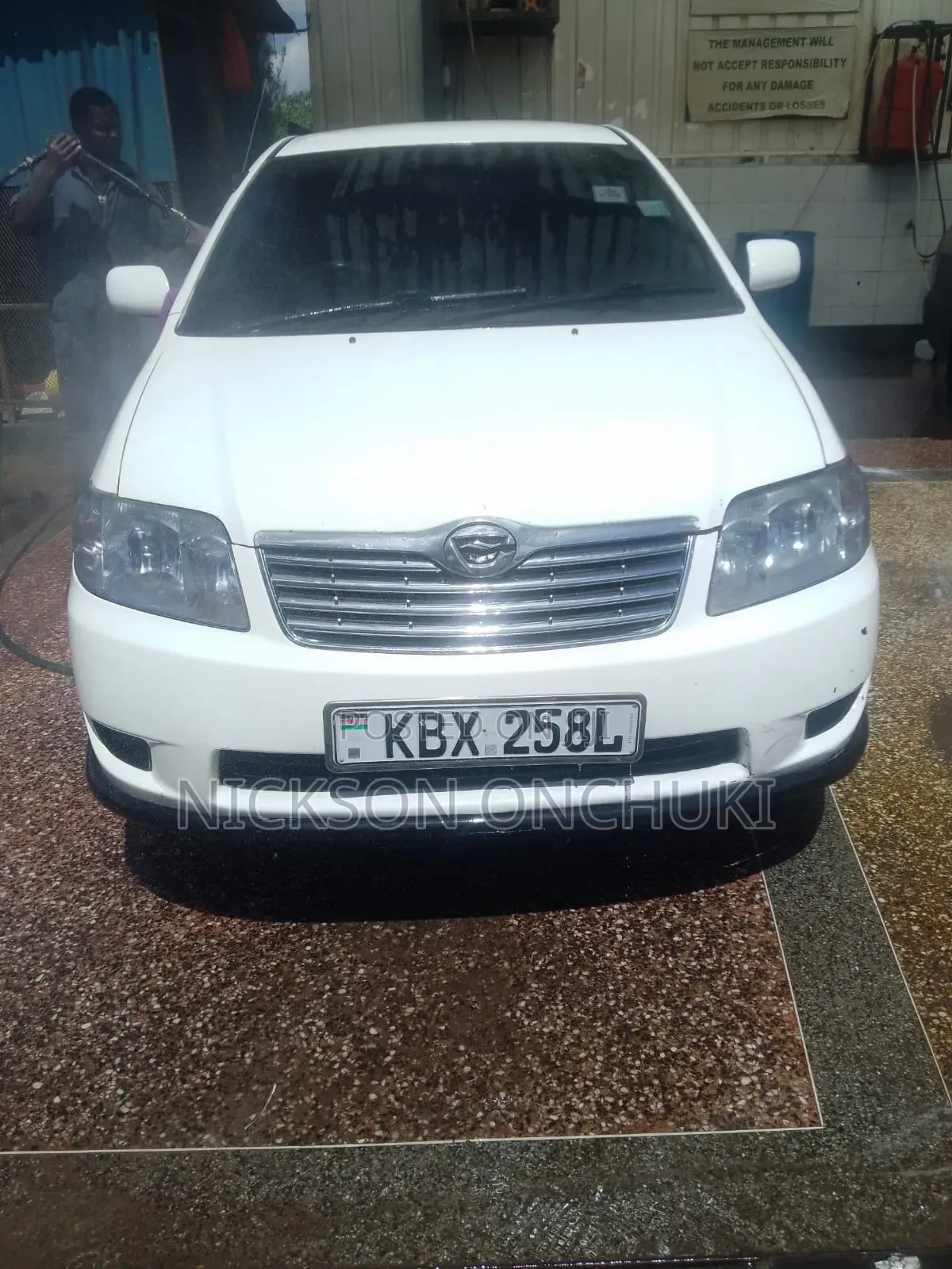 Toyota Corolla 2004 White