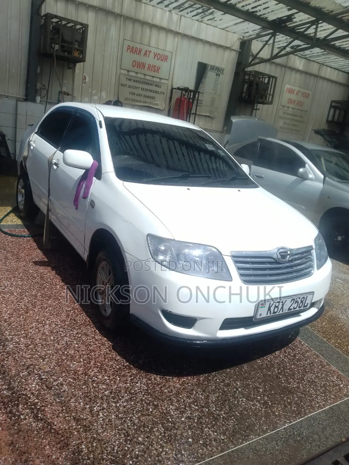 Toyota Corolla 2004 White