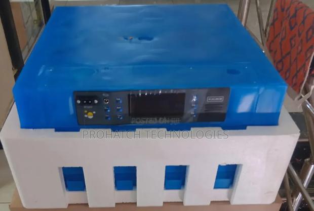 Automatic Ac /Dc Egg Incubator/ 64 Eggs