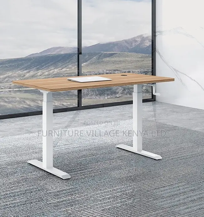 120cm Motorable Standing Desk