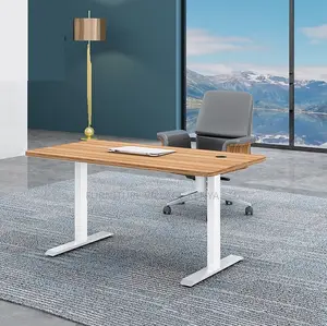 120cm Motorable Standing Desk
