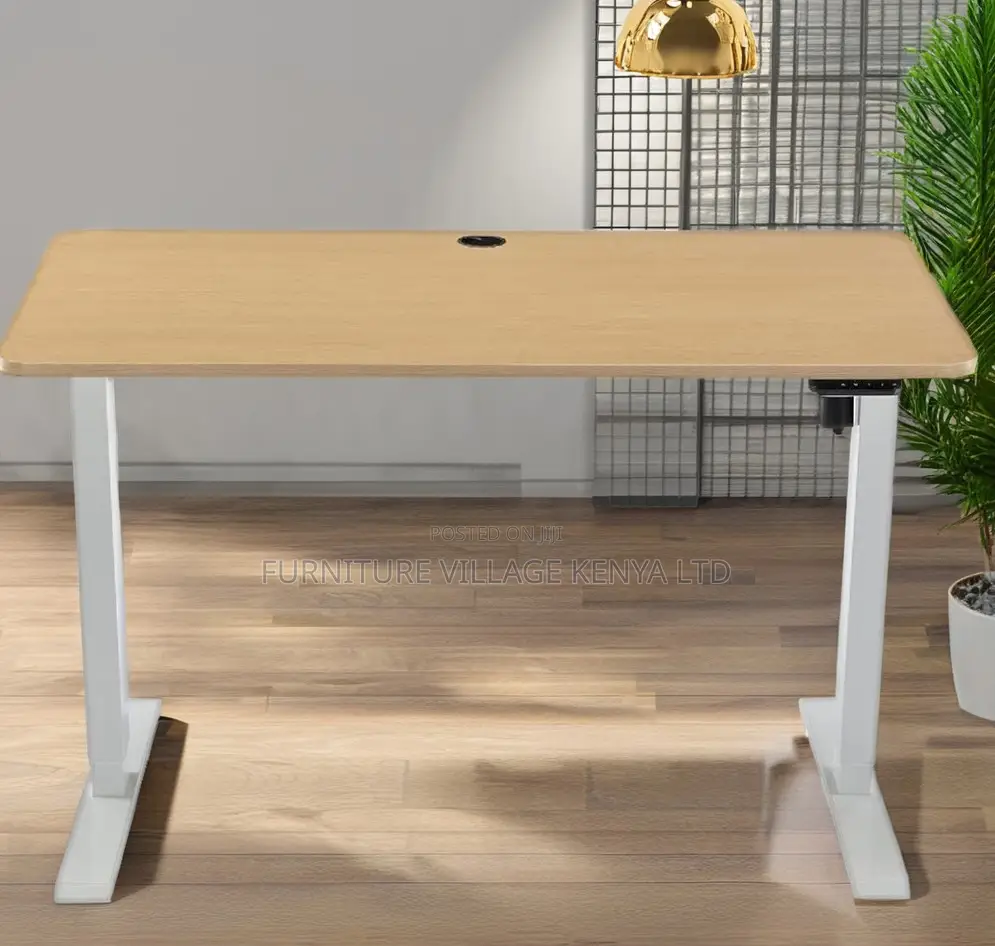 120cm Motorable Standing Desk