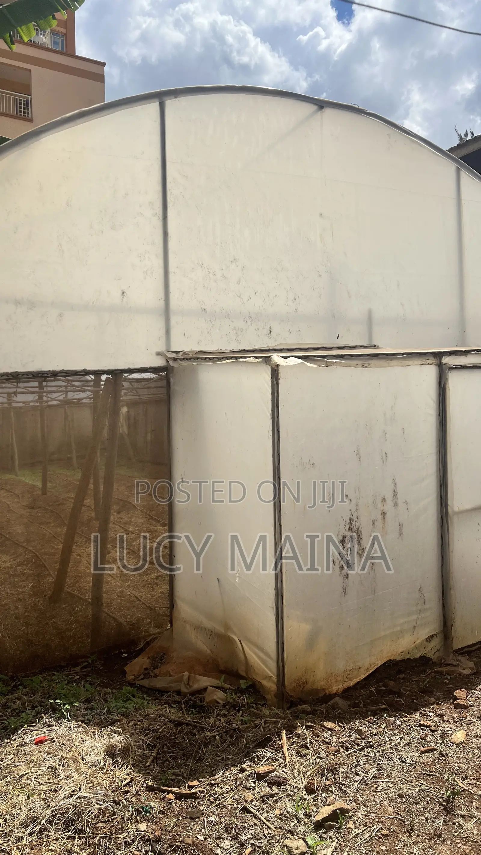 Greenhouse For Sale