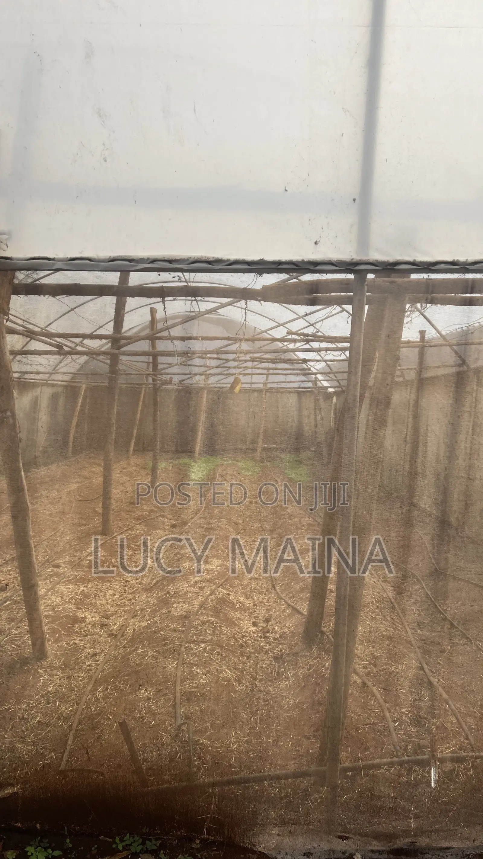Greenhouse For Sale