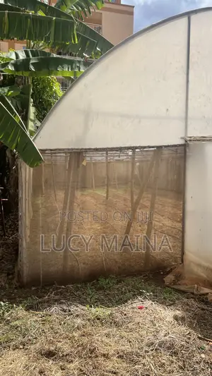 Greenhouse For Sale
