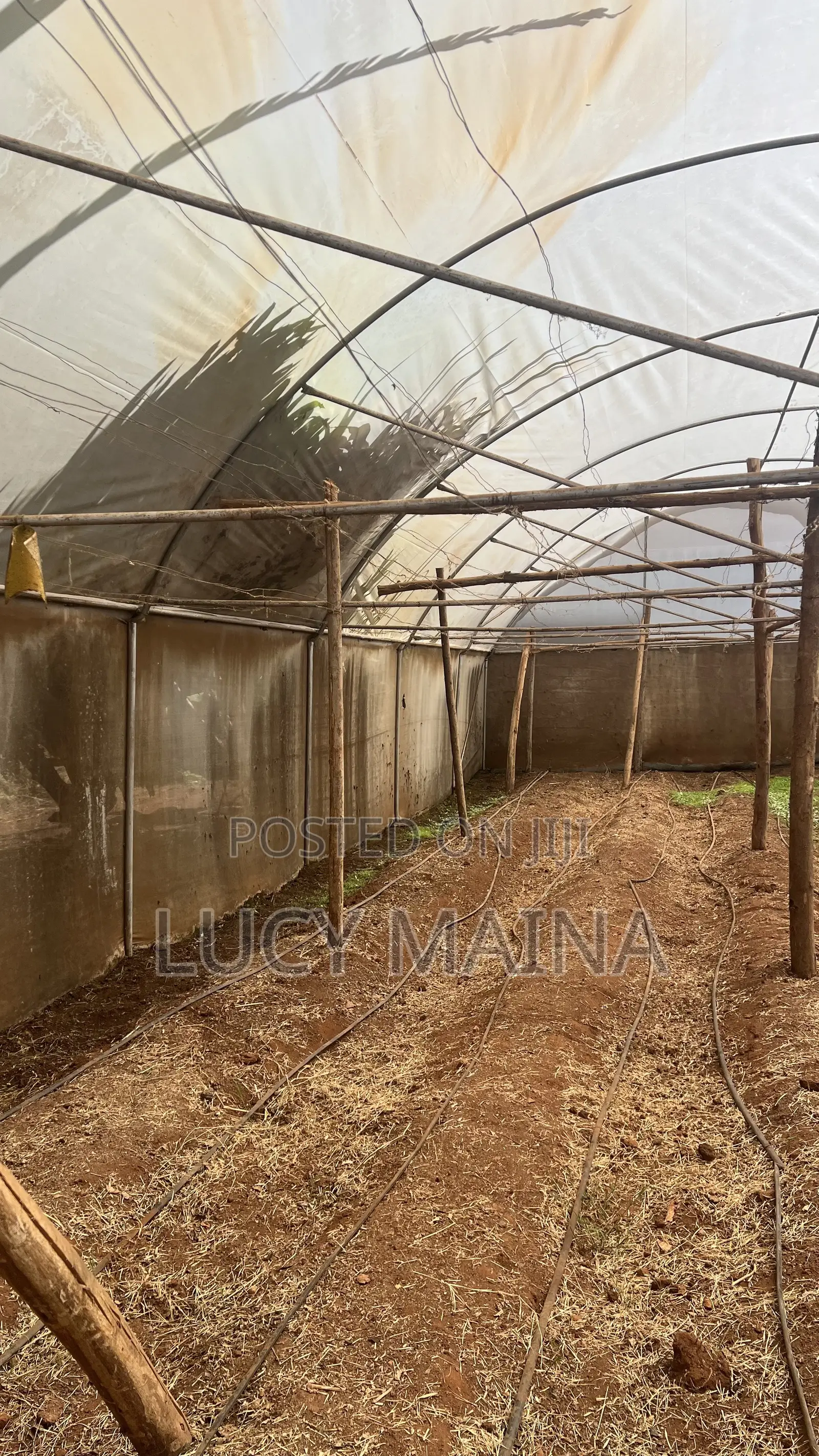 Greenhouse For Sale