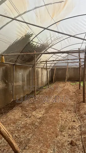 Greenhouse For Sale