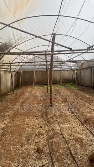 Greenhouse For Sale