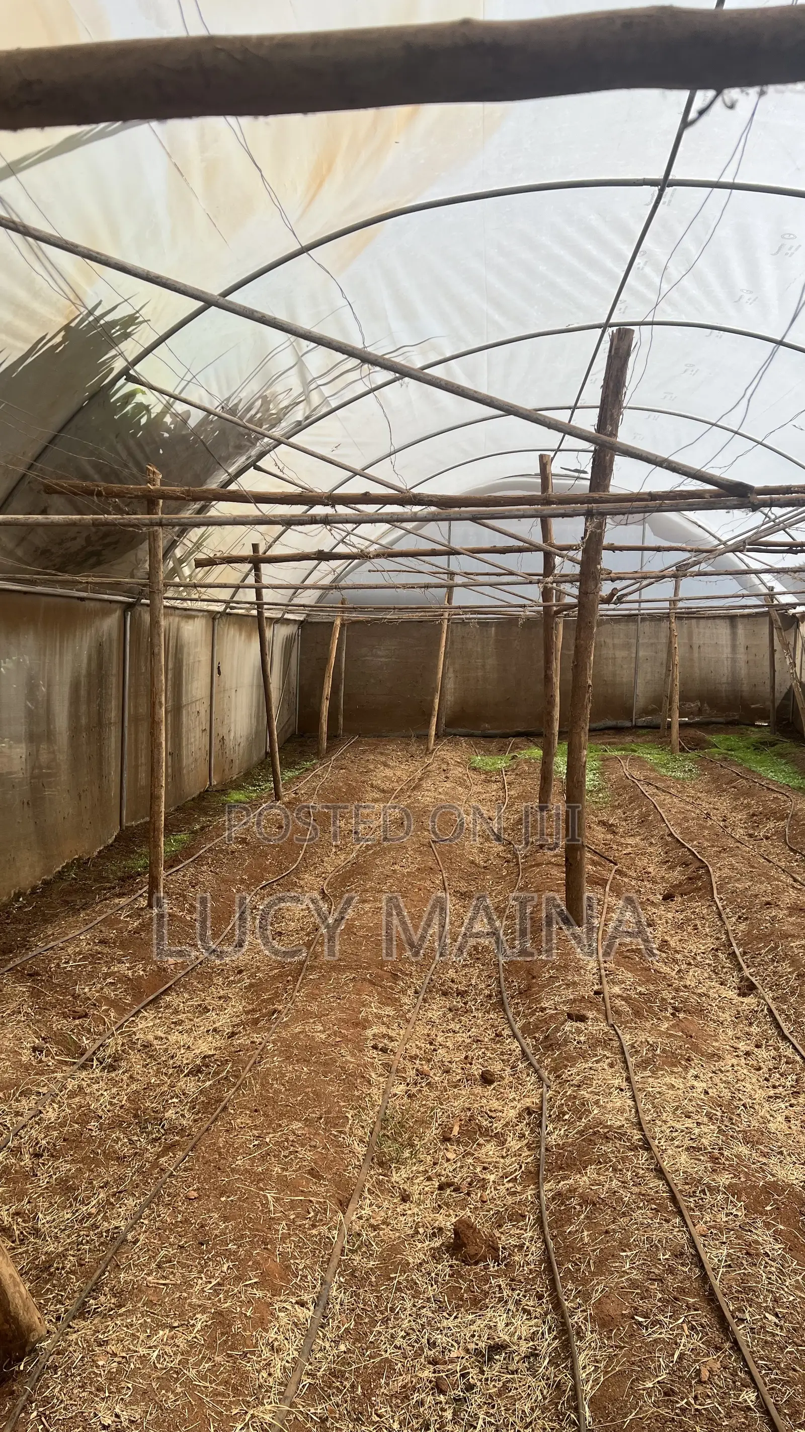 Greenhouse For Sale