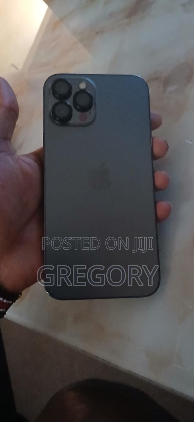 Apple iPhone 12 Pro Max 128 GB Gray - thumbnail 4