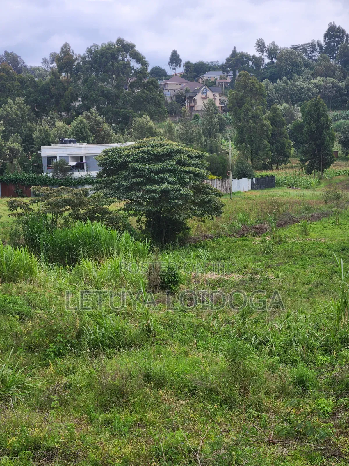 1⁄8 Acre , 1⁄4acre Ngong-Lemiso Road