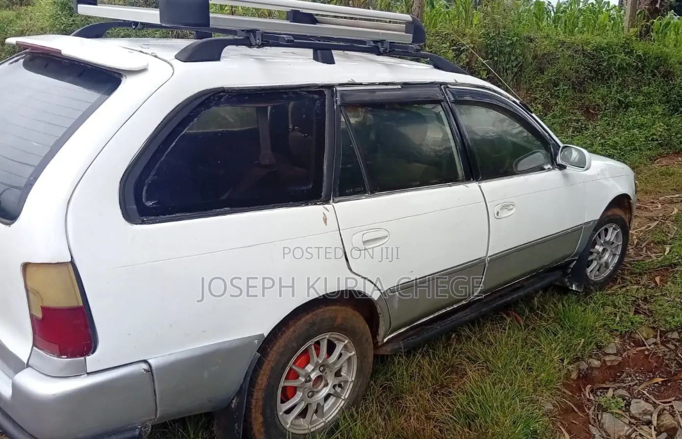 Toyota Corolla 1998 White