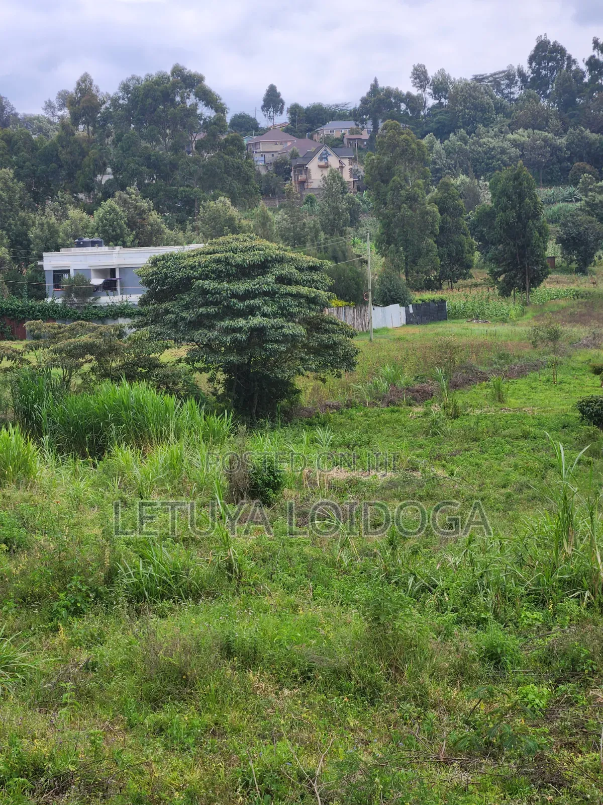 1⁄8 Acre , 1⁄4acre Ngong-Lemiso Road