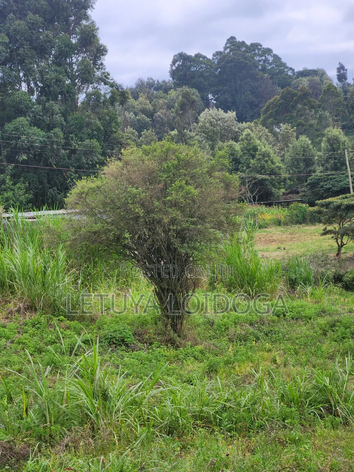 1⁄8 Acre , 1⁄4acre Ngong-Lemiso Road