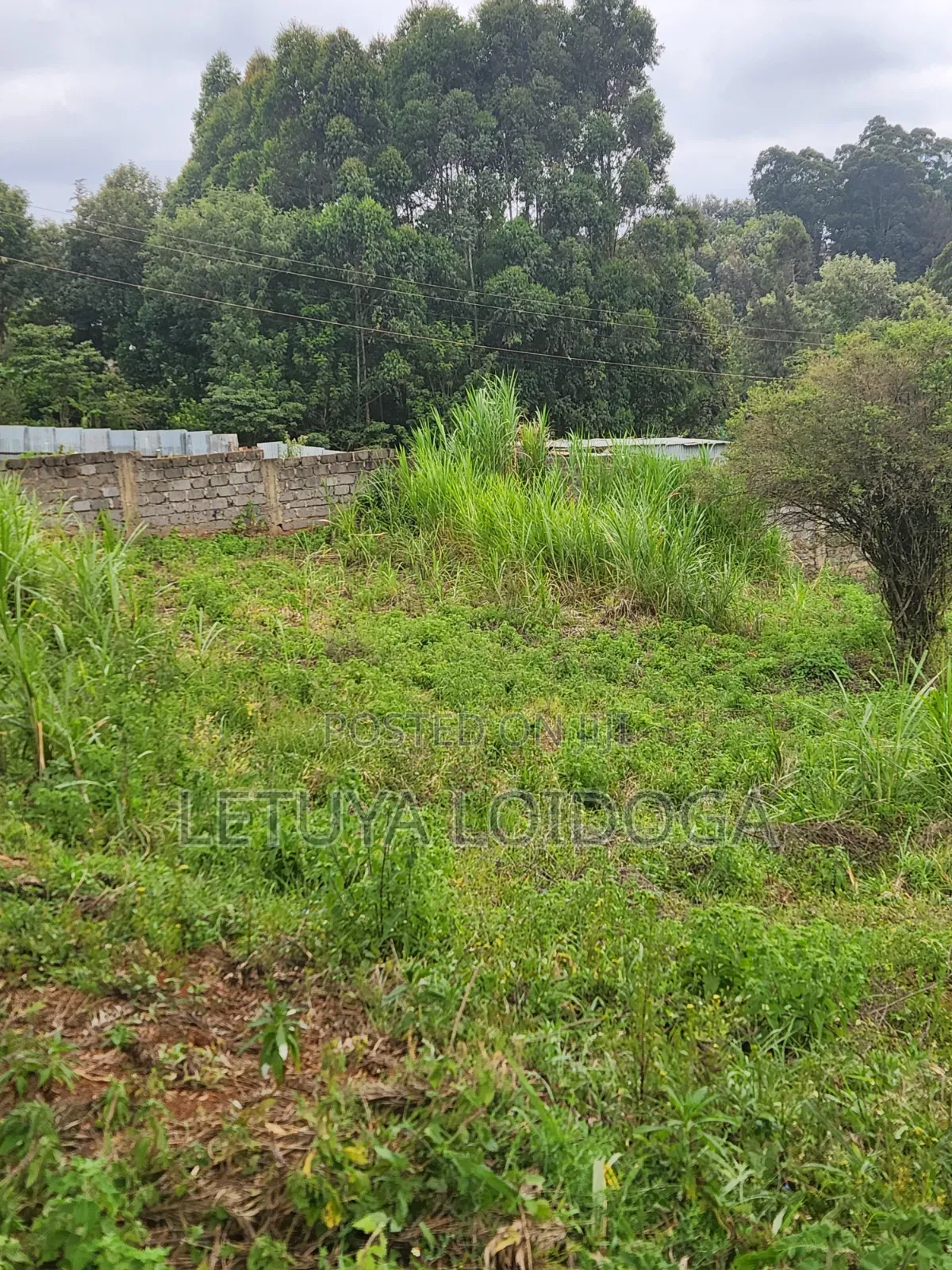 1⁄8 Acre , 1⁄4acre Ngong-Lemiso Road
