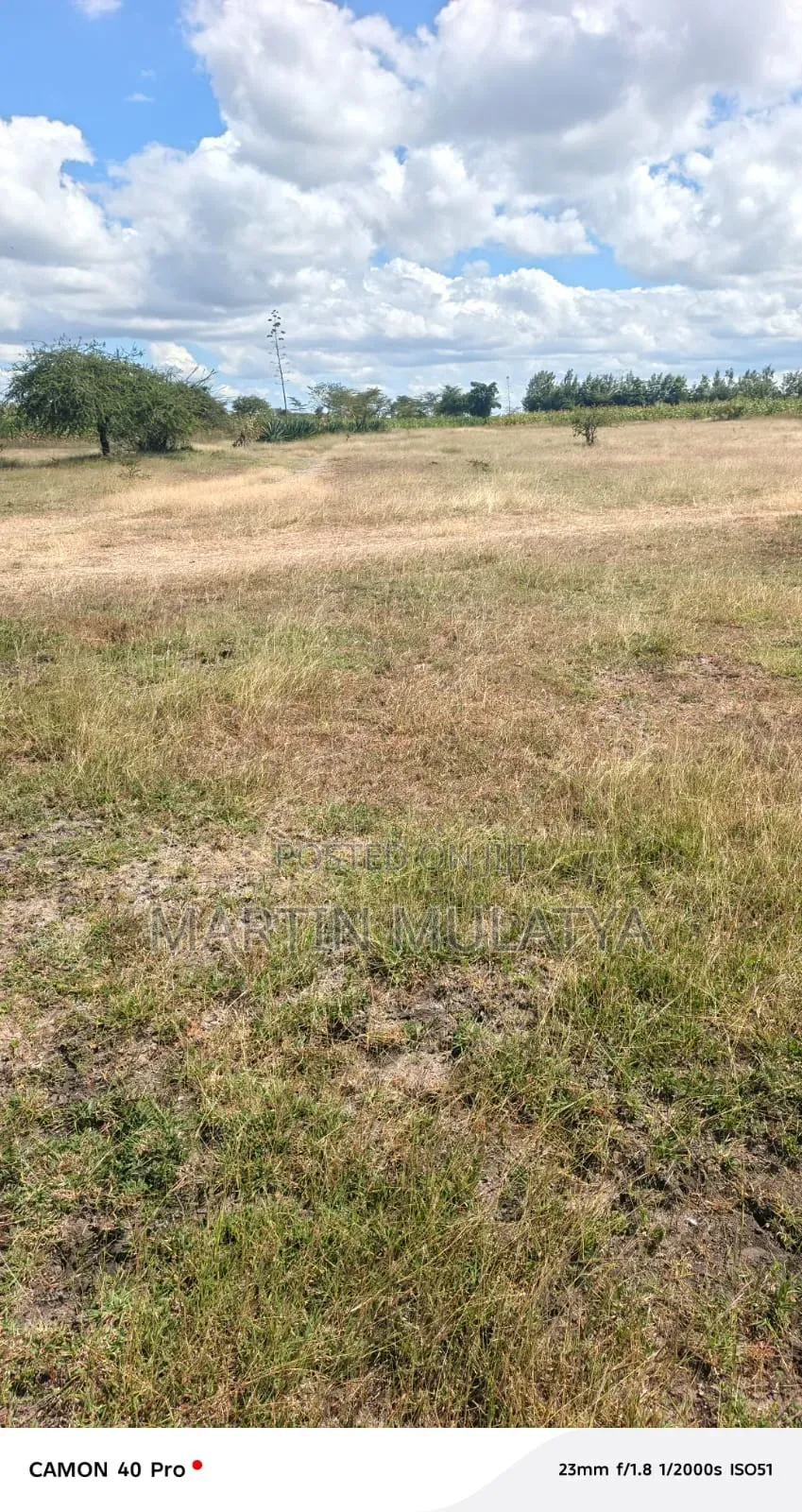 Land for Sell