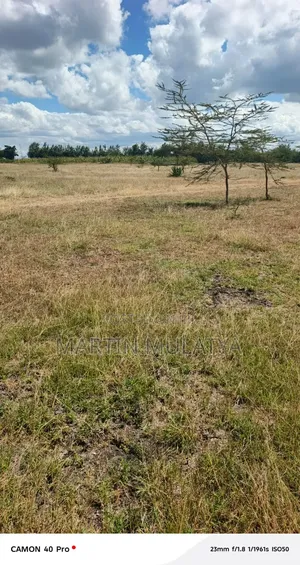 Land for Sell