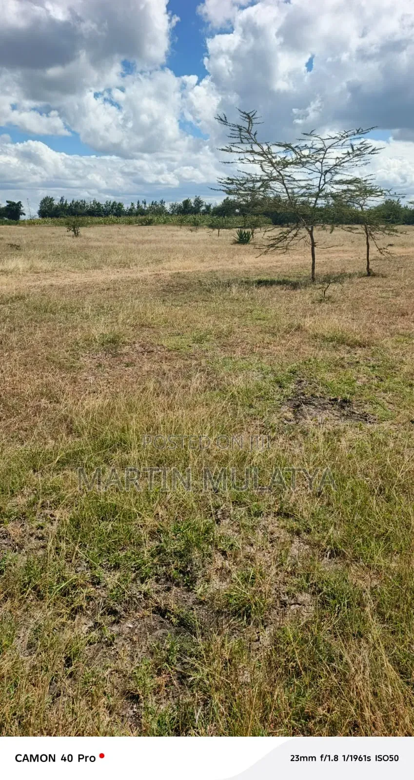 Land for Sell