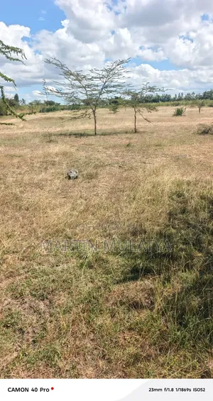 Land for Sell