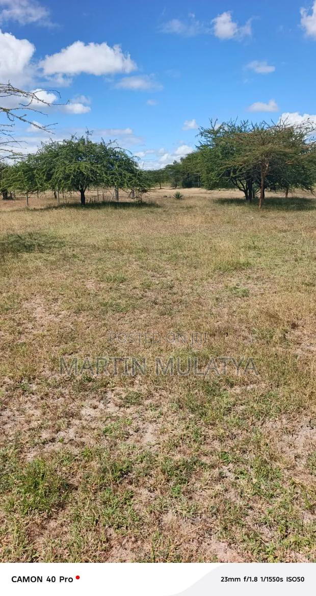 Land for Sell - thumbnail 6