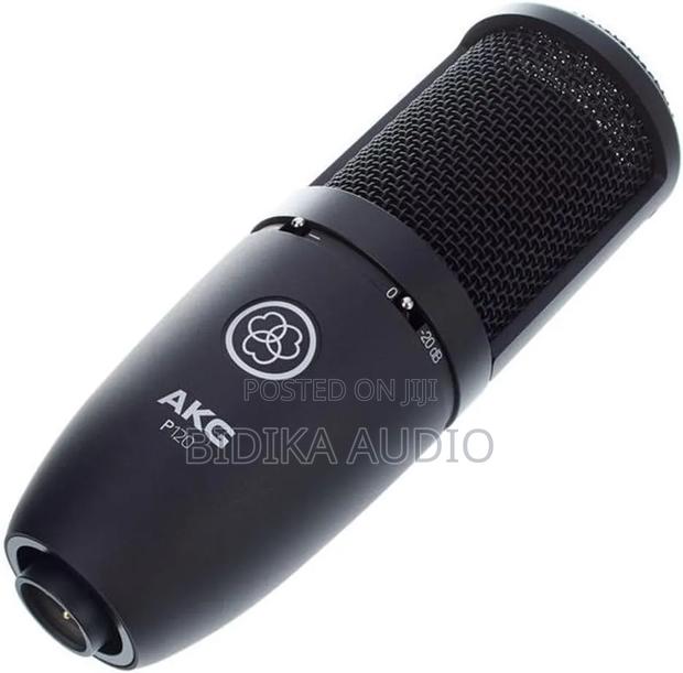 Akg Pro Audio P120 Affordable 2/3-Inch Diaphragm Condenser Microphone