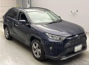 Toyota RAV4 LE AWD 2020 Gray