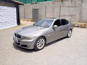 BMW 3 Series 2009 Gray