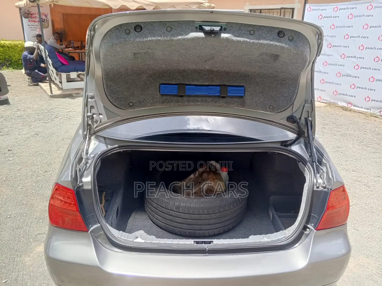 BMW 3 Series 2009 Gray