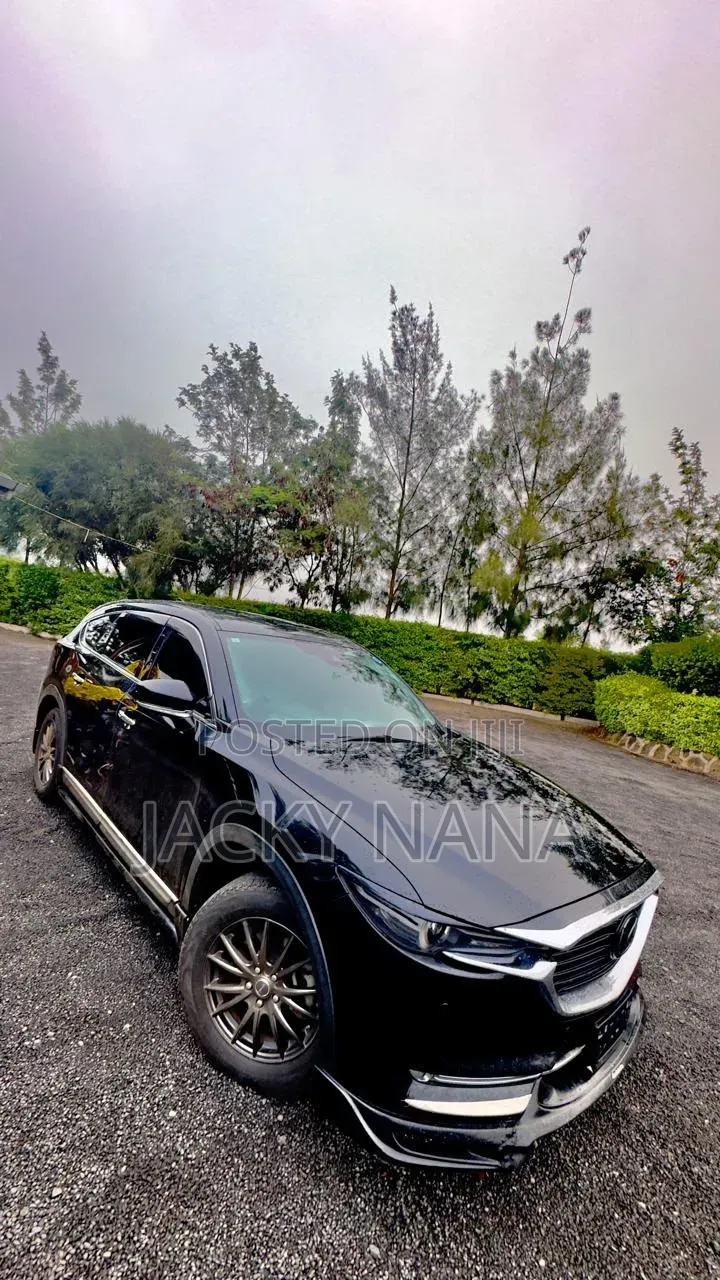 New Model Cx5 for Hire