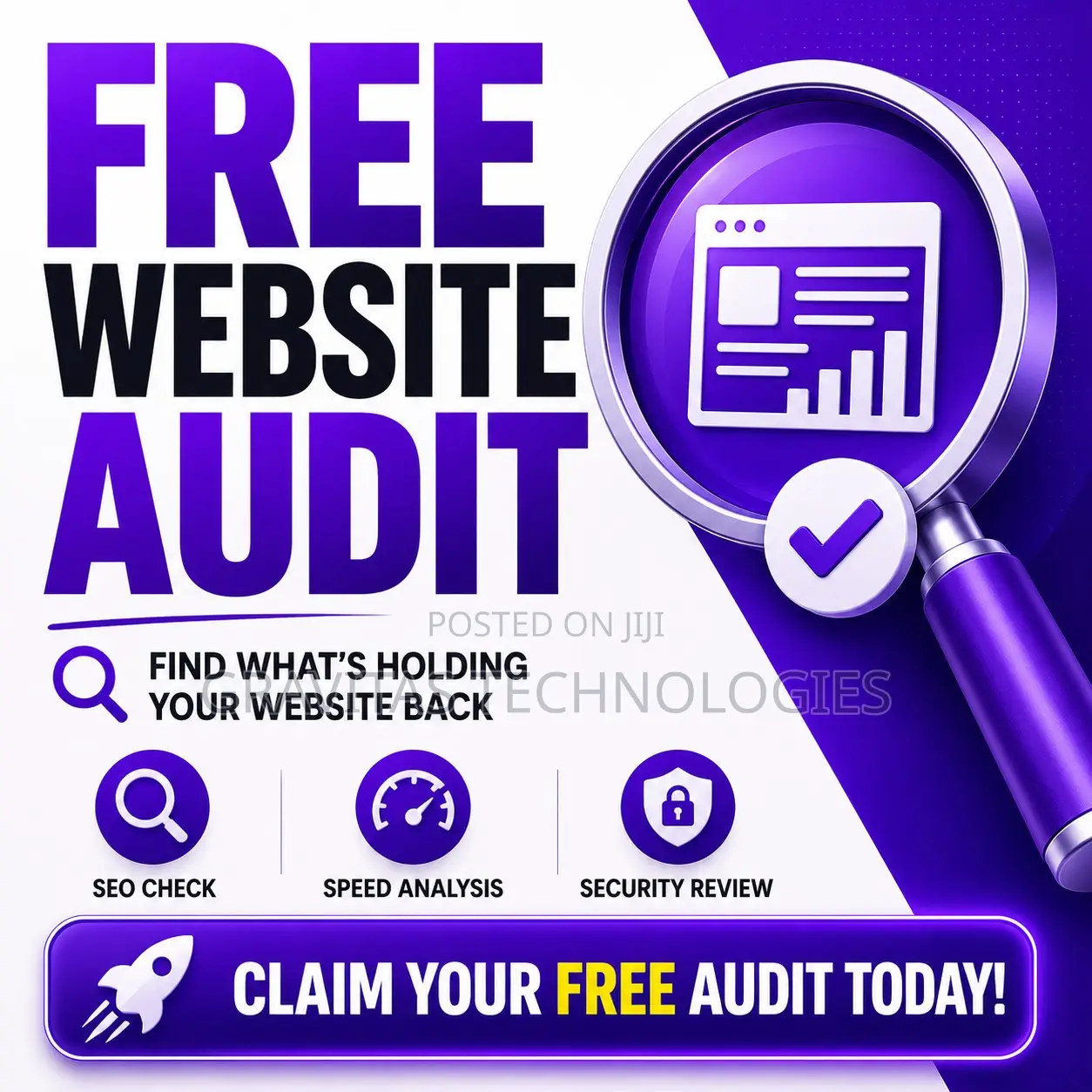 Website Audit