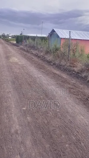 Plot for Sale 50 by 100 in Nanyuki