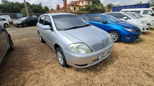 Toyota Allex 2002 Silver