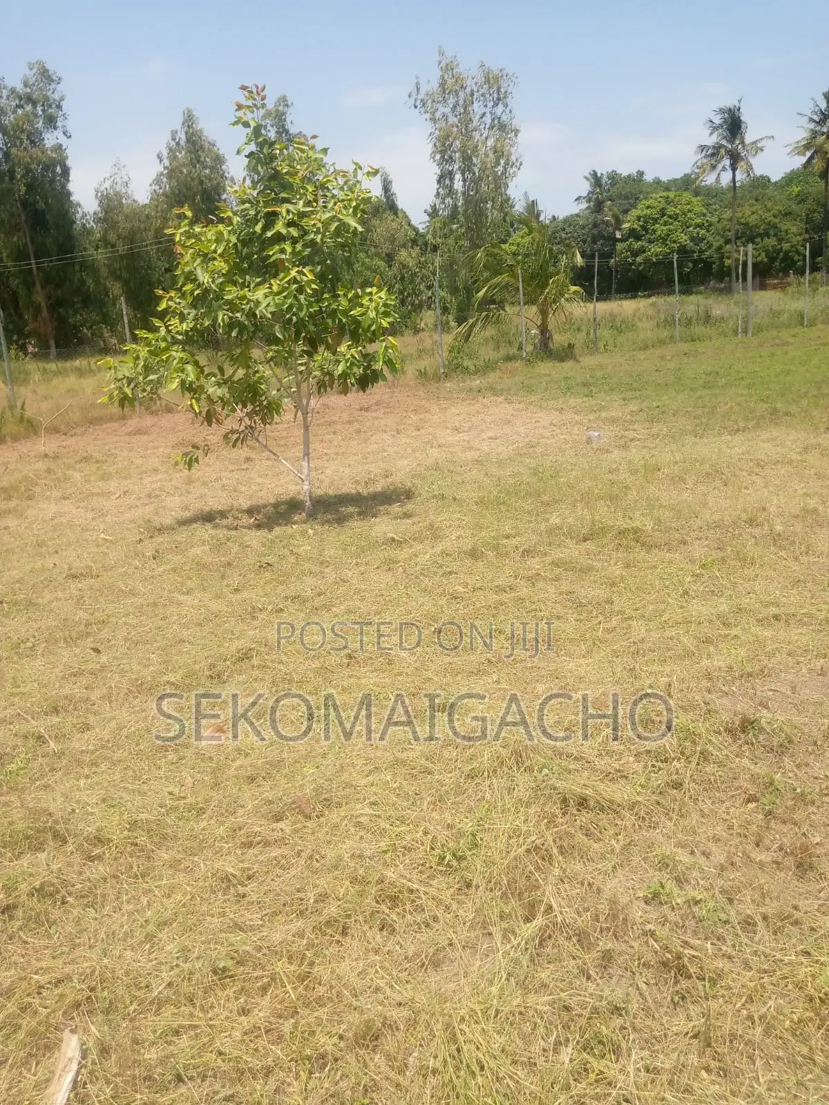 2 Acre Land at Bodoi Next to Crocodile Farm on Msa North Interchange