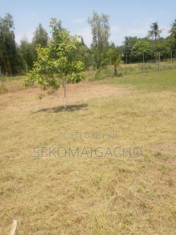 Land at Bodoi Next to Crocodile Farm - thumbnail 2
