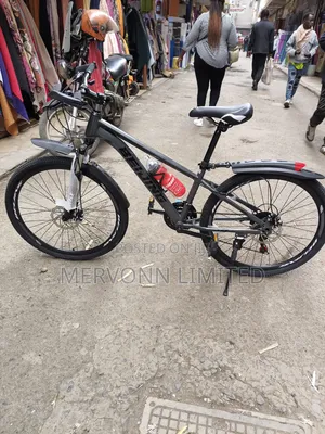 Beijing Bike