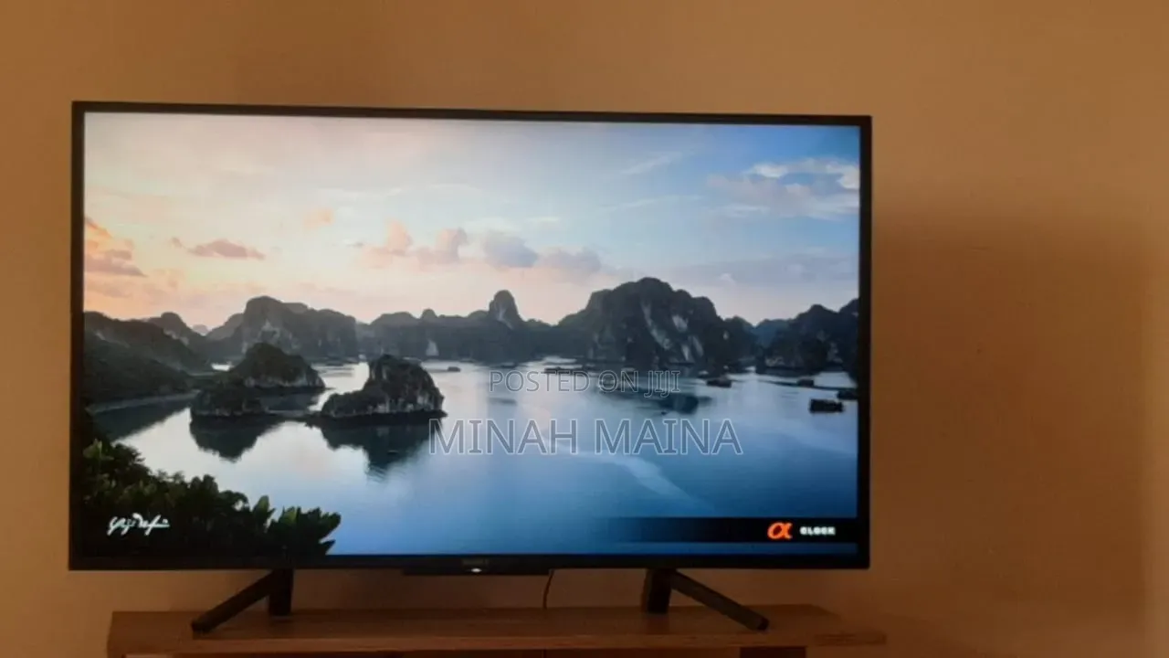 Sony Bravia 43"