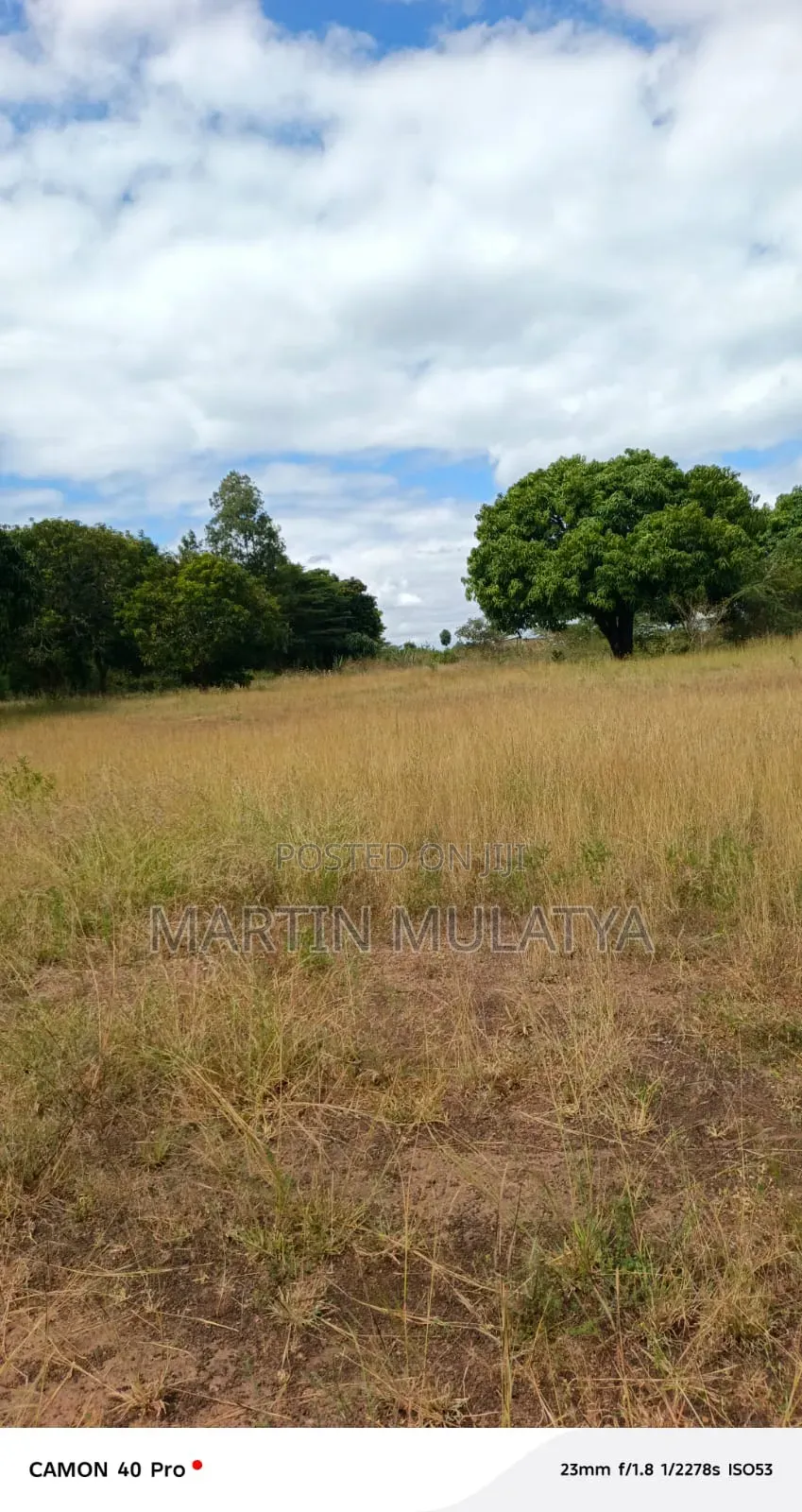 Land for Sell