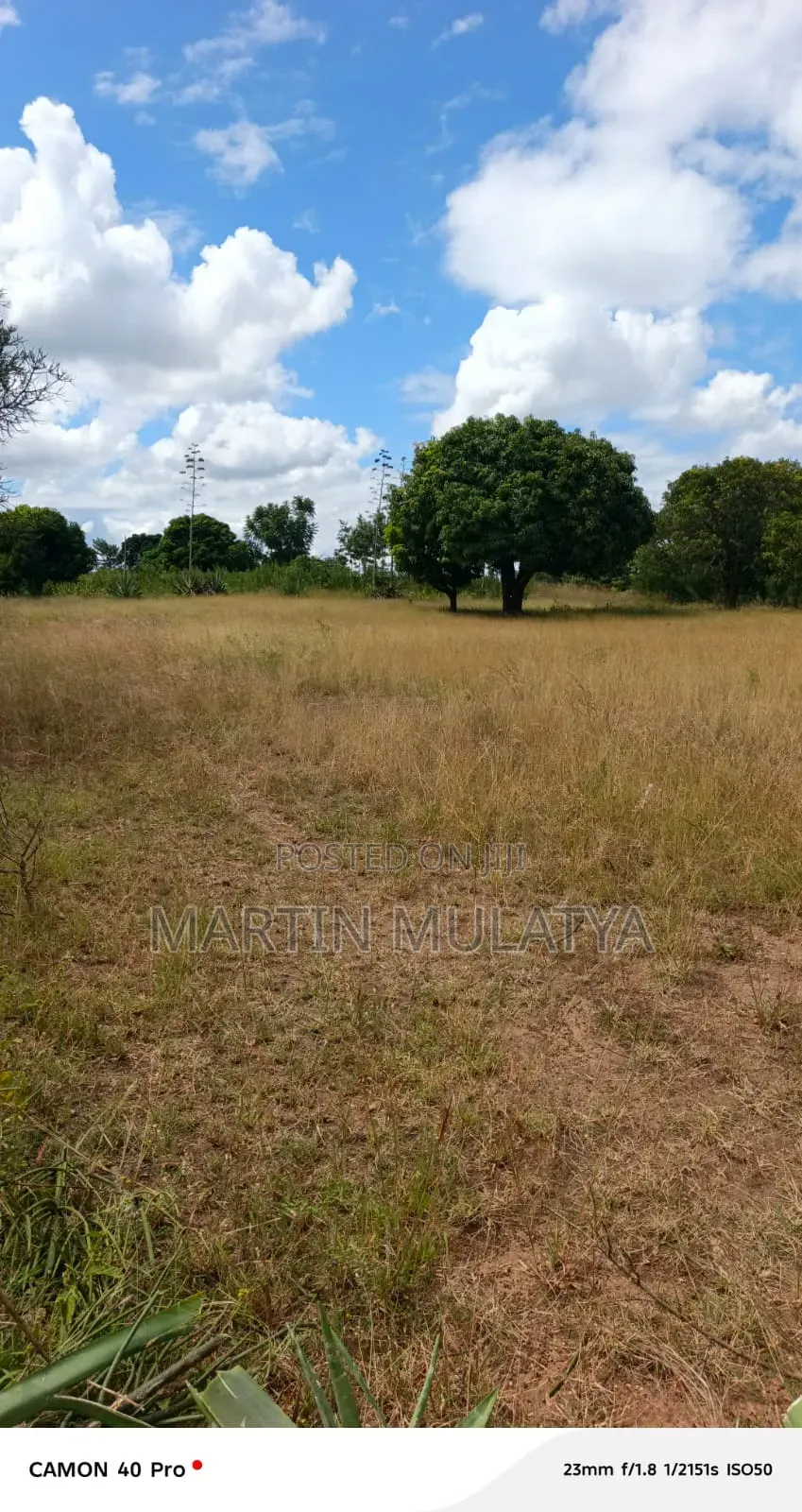 Land for Sell