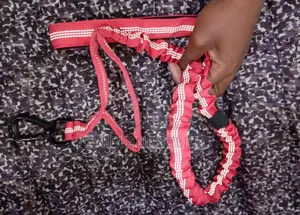 Hands-Free Dog Tactical Leash