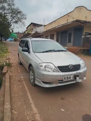 Toyota Corolla Fielder 2003 Silver