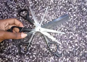 Professional Hair Cutting Scissors Set for Dogs and Cats