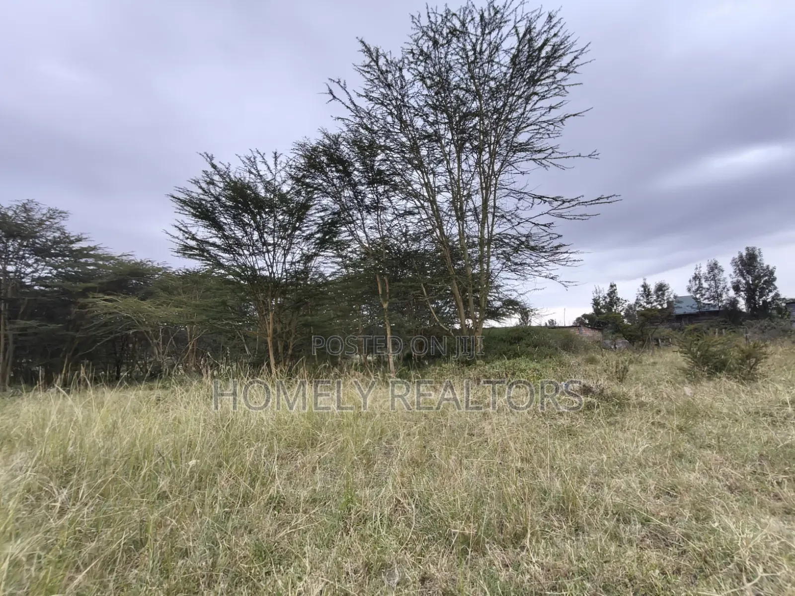 Mixed-Use Eighth Acre Plot for Sale in Ngong, Matasia Near Tarmac