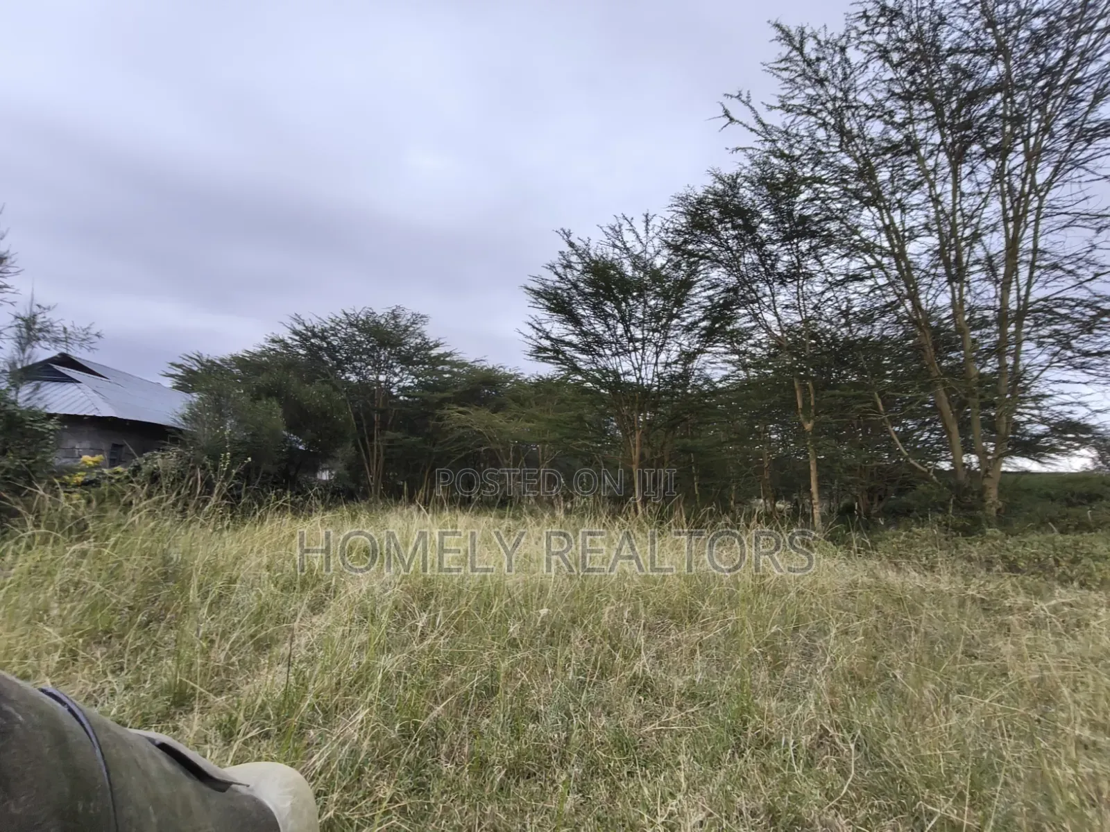 Mixed-Use Eighth Acre Plot for Sale in Ngong, Matasia Near Tarmac