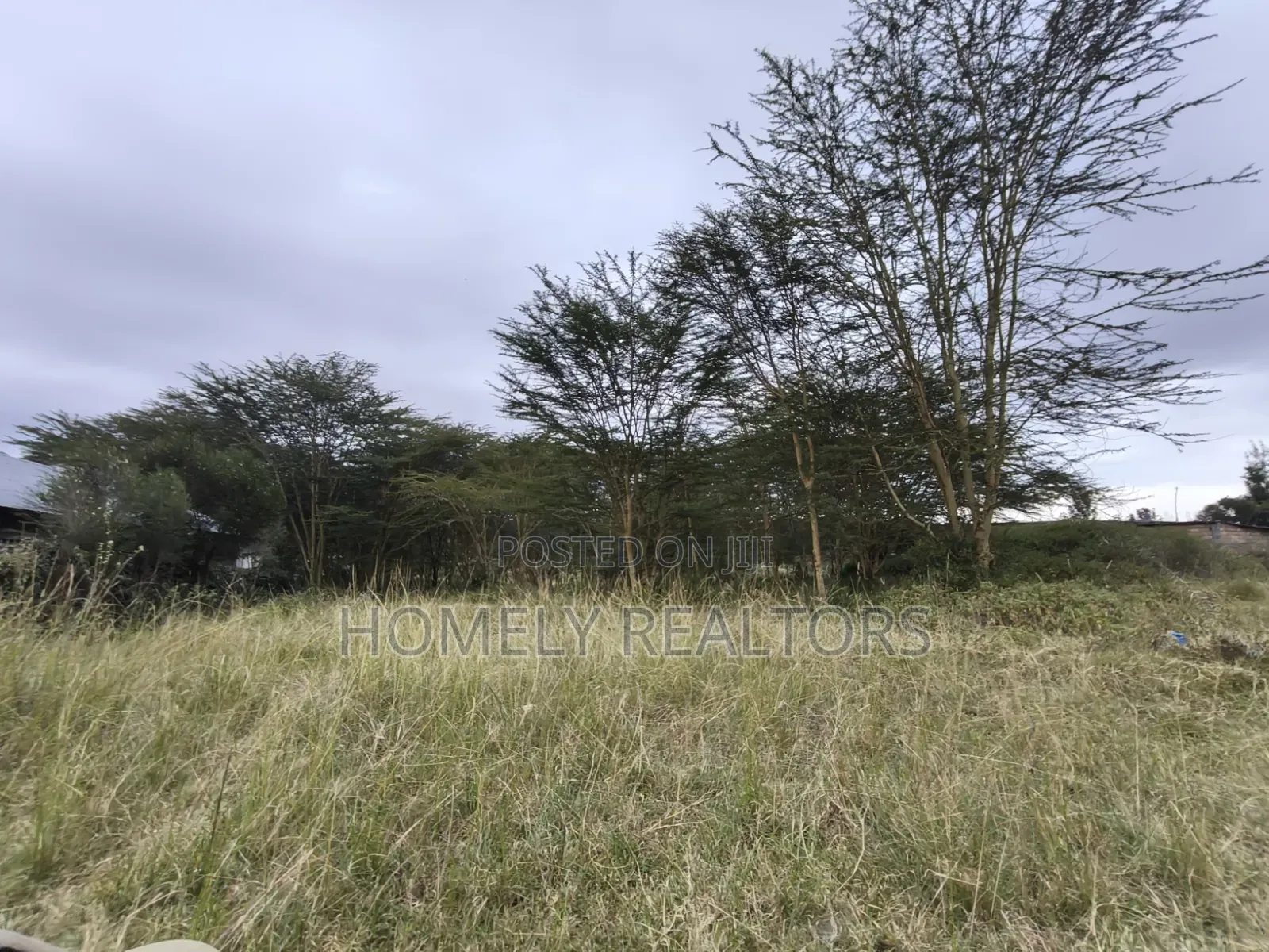 Mixed-Use Eighth Acre Plot for Sale in Ngong, Matasia Near Tarmac