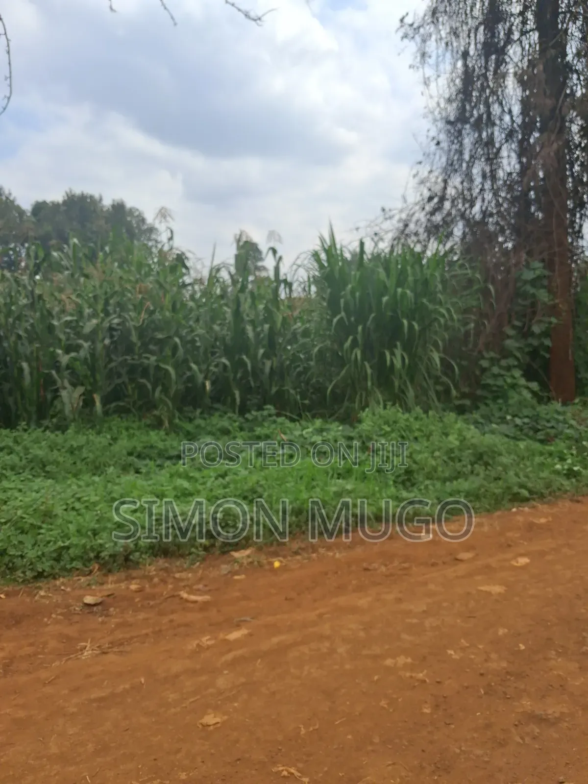 Thindigua Kiambu Rd Prime 2.25ac Ideal for High Rise Apartments
