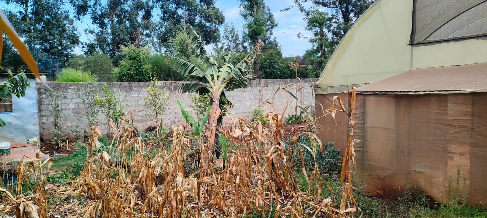 Prime 1⁄4 Acre Ngong-Kibiko(Maragara Road)
