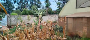 Prime 1⁄4 Acre Ngong-Kibiko(Maragara Road)