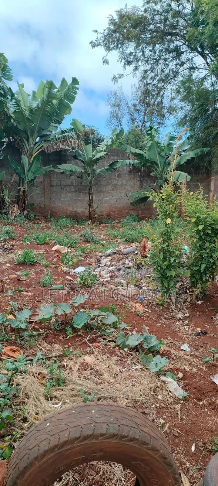 Prime 1⁄4 Acre Ngong-Kibiko(Maragara Road)