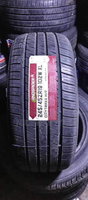 245/45r19 Landspider Thailand Tire
